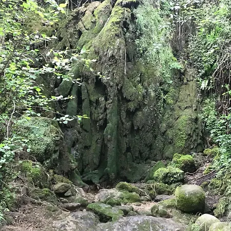Cargol Séjour à la campagne