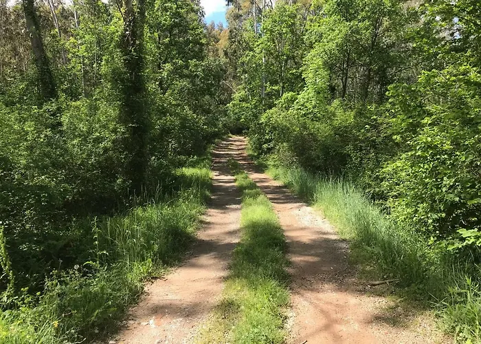 Cargol Gospodarstwo wiejskie