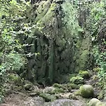 Cargol Gospodarstwo wiejskie