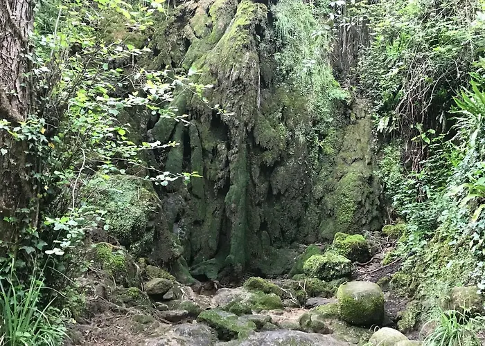 Cargol Country house